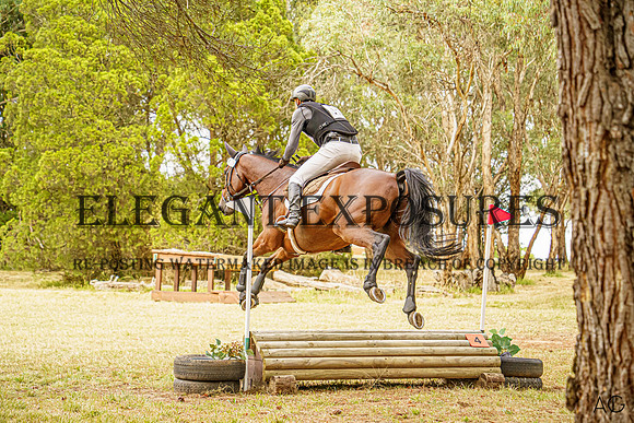 _AJG4278