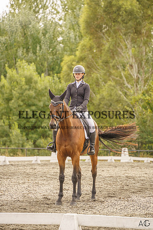 _AJG1882