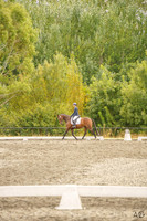 _AJG1191