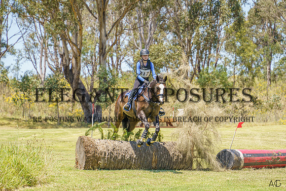 _AJG9984