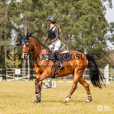 HM_1295
