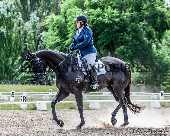 OLS_0208