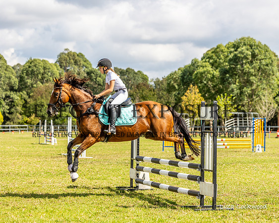 LHL(MS)-3956