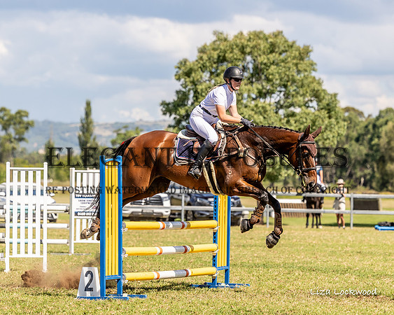 LHL(MS)-5276