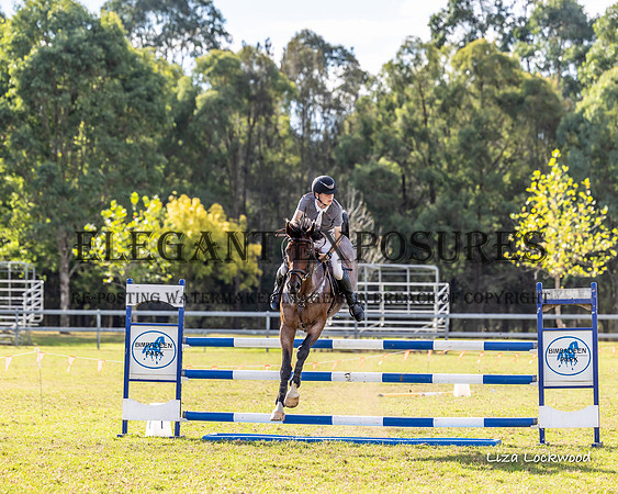 LHL(MS)-6181