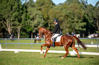 OLS_2554
