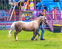 MAS_4669