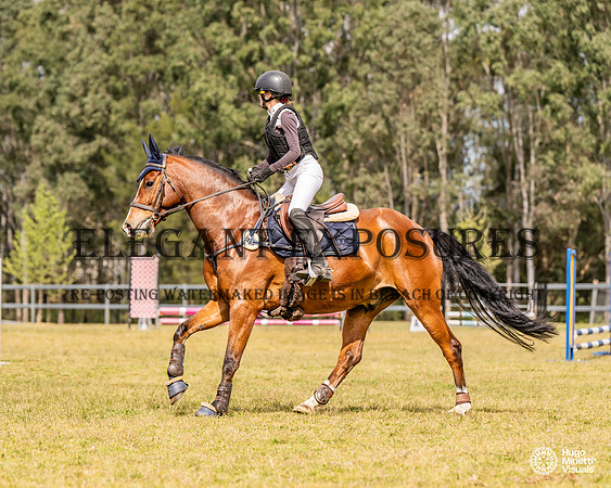 HM_1694