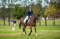 OLS_2372