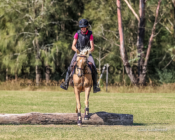 LHL(MS)-7650