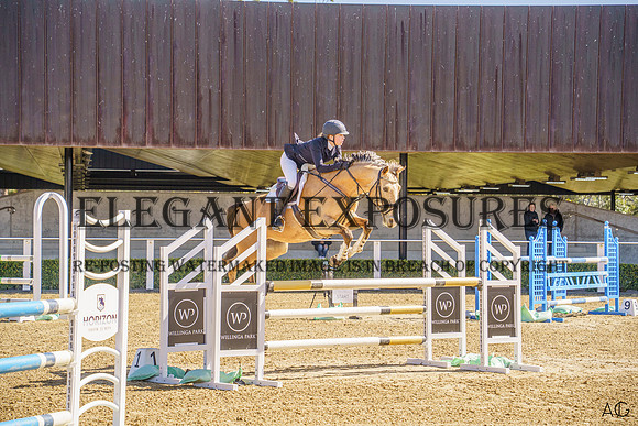 _AJG2010