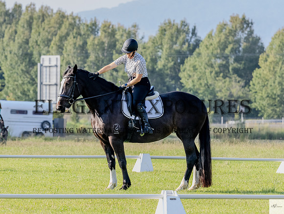 KAT-6641