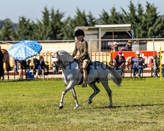 MAS_7147