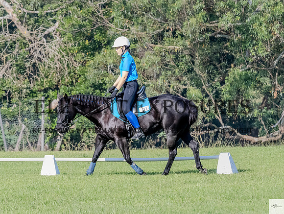 KAT-6798