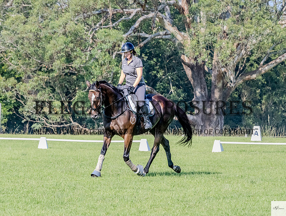 KAT-6811