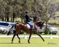 Scone HT - Dressage - Arena 5 (PM) 6.4.2024