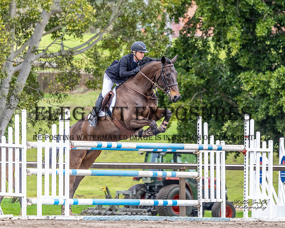 MASX7377