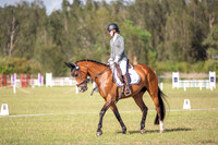 OLS_0992