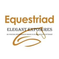 Equestriad Memories