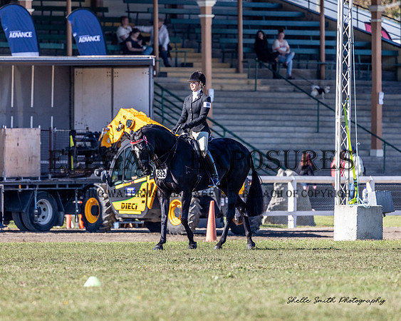 MAS_4153