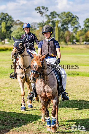 HM_2750