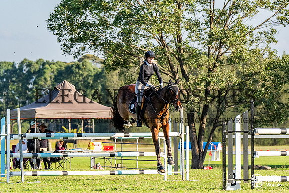 HM_9515