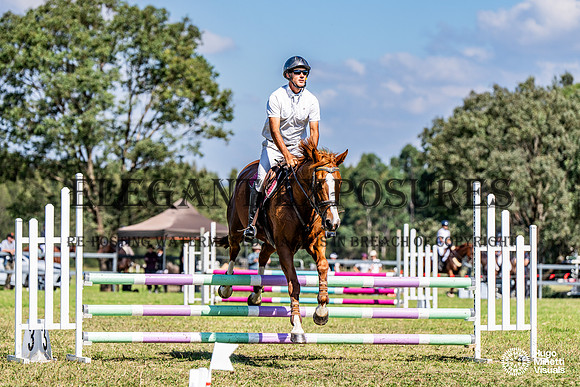 HM_5337
