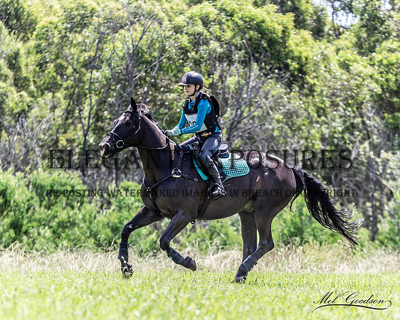 MKG_0682