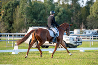 OLS_2541