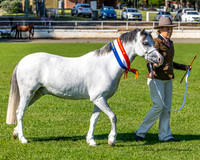 Nowra Show - Show Rings - 07.08.2025