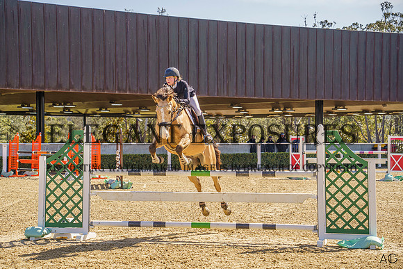 _AJG2015
