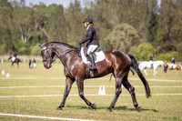OLS_1315