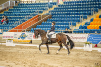 _AJG4295