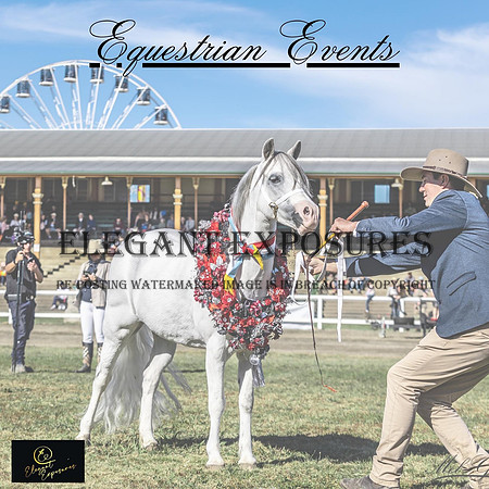Equestrian Events