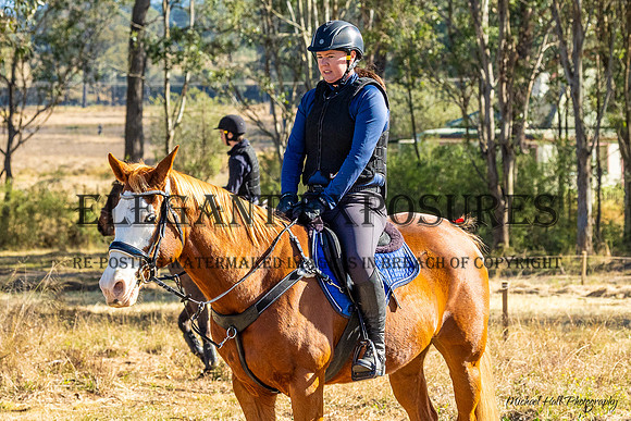 MHP_0253