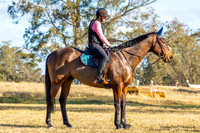 MHP_0615