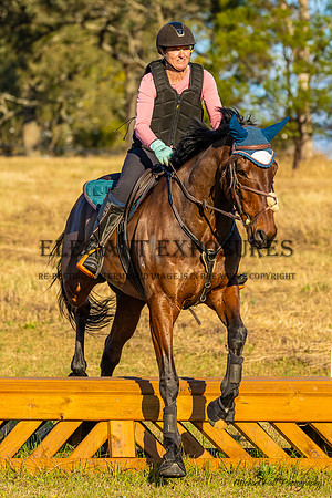 MHP_0659