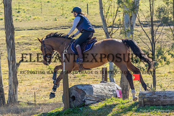 MHP_0364