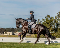 Shoalhaven Dressage Official Comp 23.7.2023
