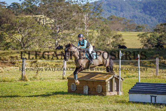 _AJG0977_wm