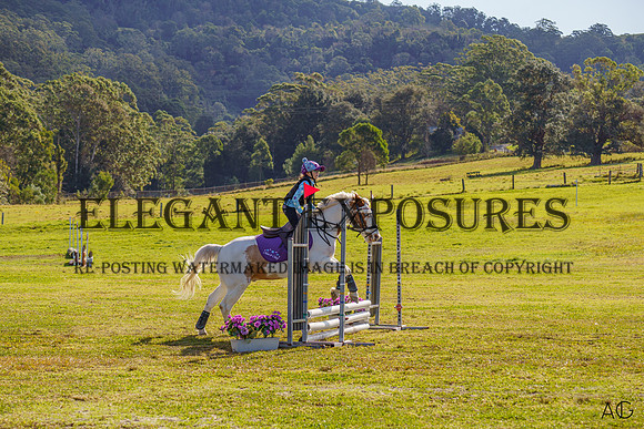 _AJG1471_wm