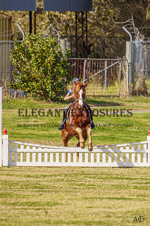 _AJG1533_wm
