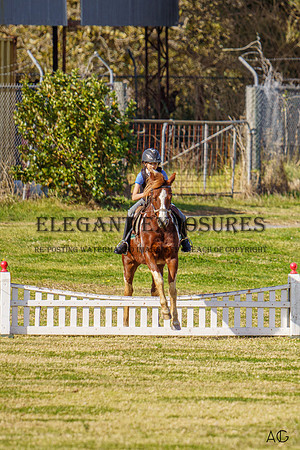 _AJG1534_wm