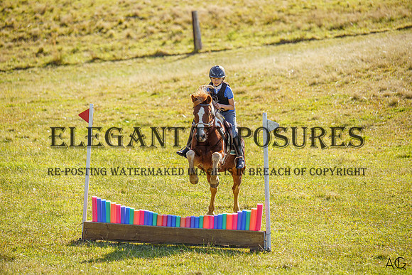 _AJG1546_wm