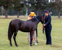 MKG_9664