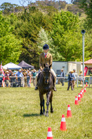 _AJG4711