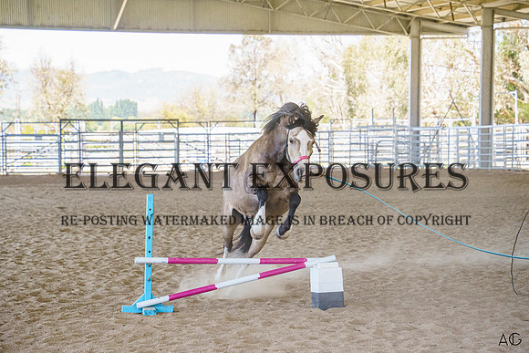 _AJG4864