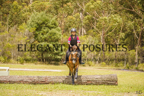 _AJG2838