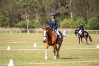 OLS_1202
