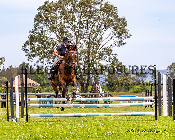 MAS_8772